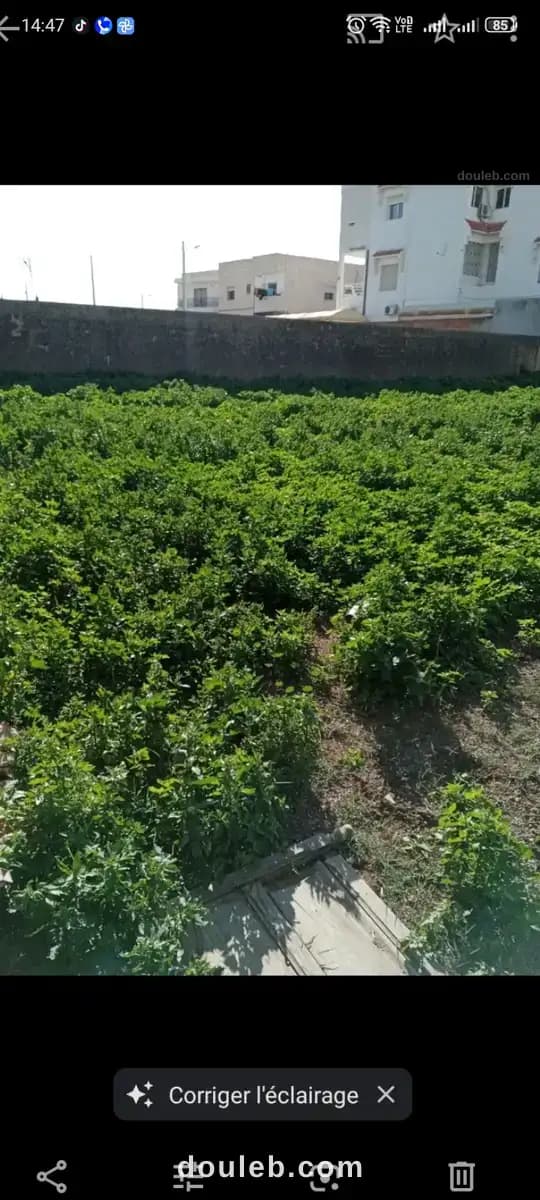 Terrain nu à Tunis