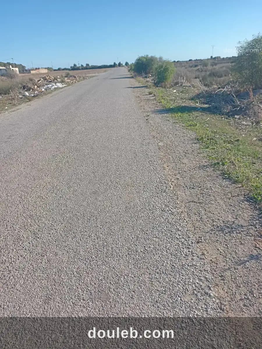 Hectar et 5000m2 directement sur la route à Nabeul