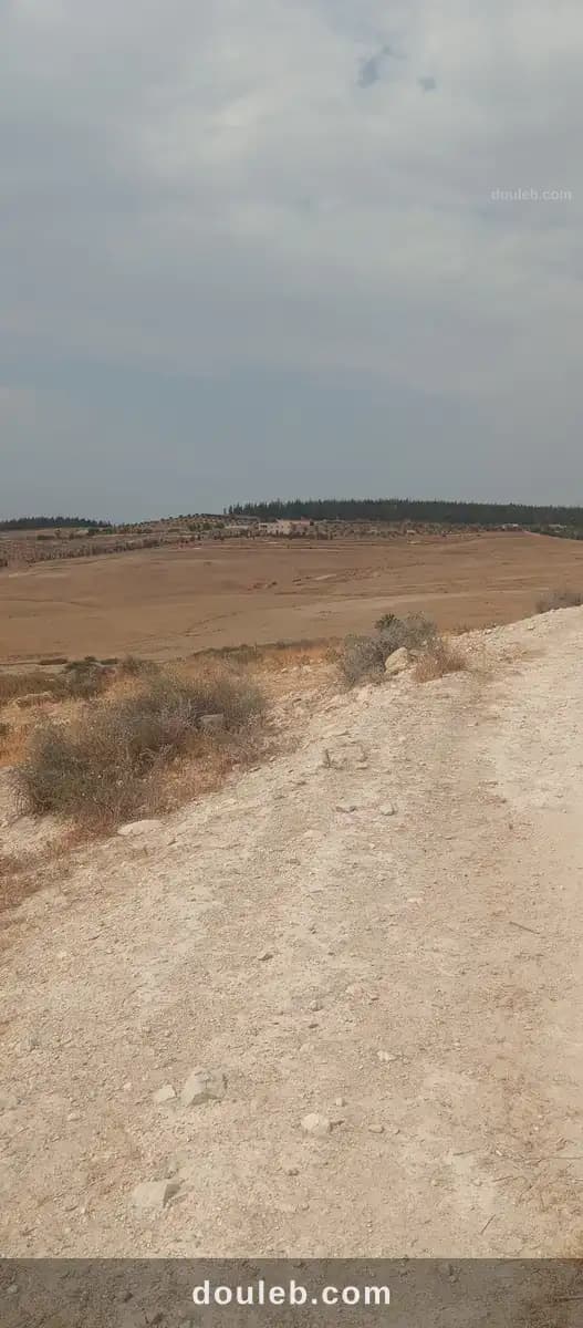 Terrain mejez el bab à Béja
