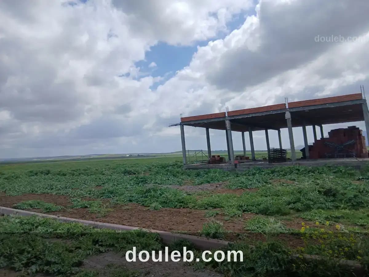 Terrain de 33 h sur le barrage de bir mcherga à Zaghouan