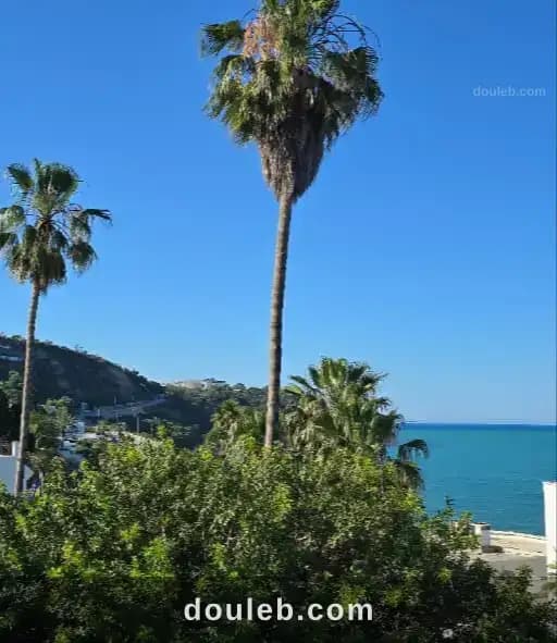 Terrain vue mer gammarth à Tunis
