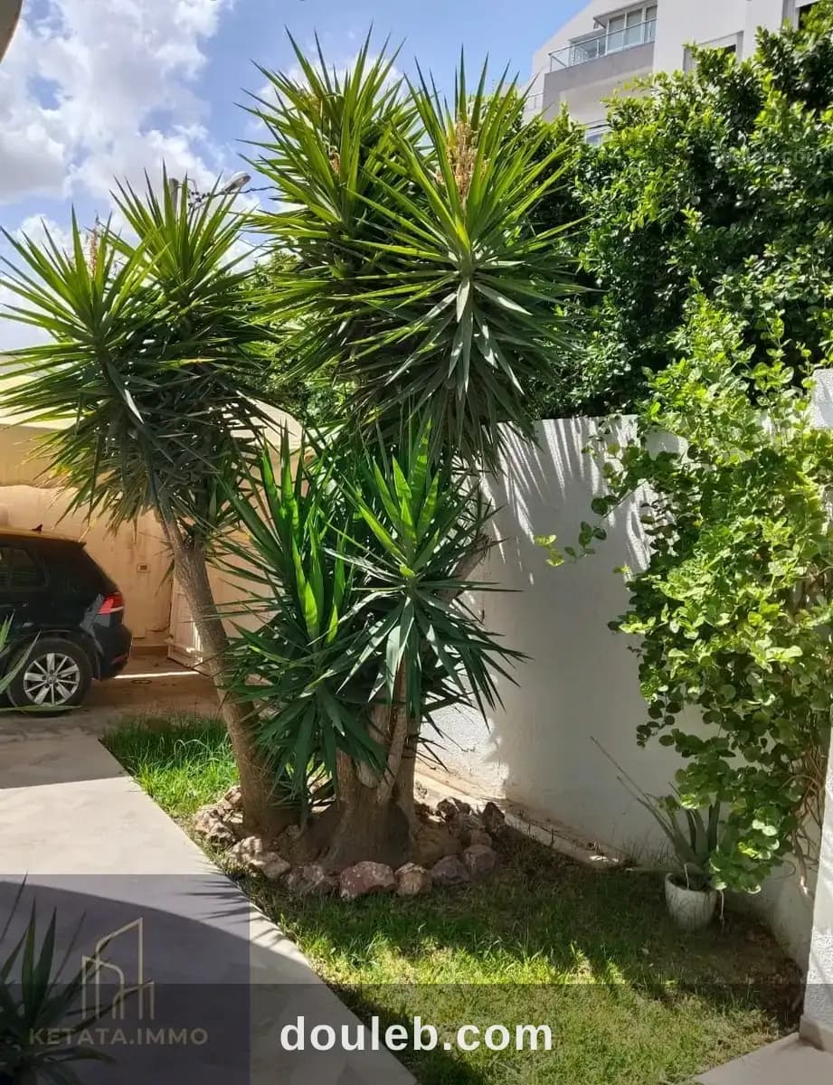 La ghazelle vnt villa yesmine à Ariana