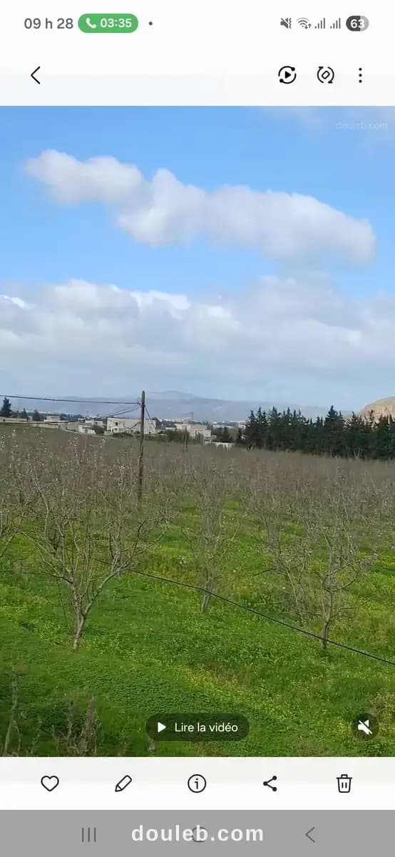 Terrain agricole jedaida chouat avec sondage à Manouba