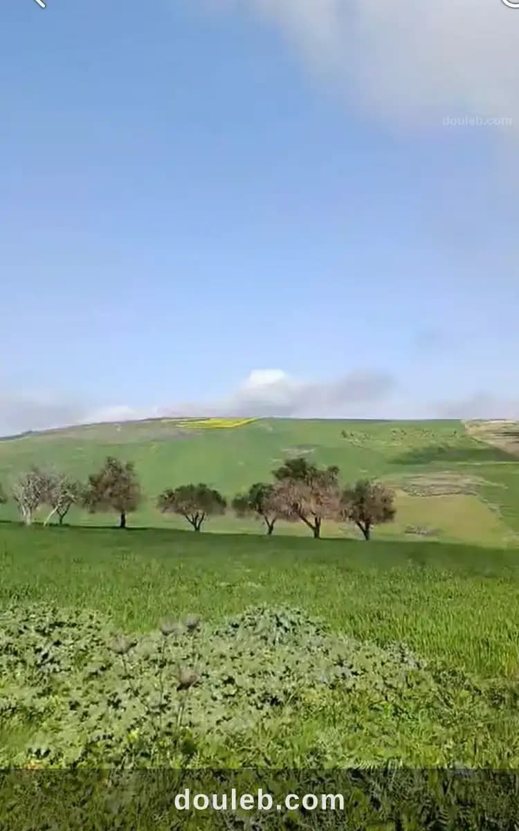 Terrain agricole - Miniature 2