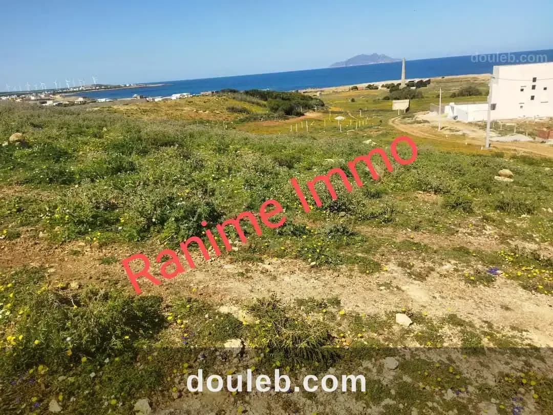 Terrain de 1520m2 a la mer el haouaria à Nabeul