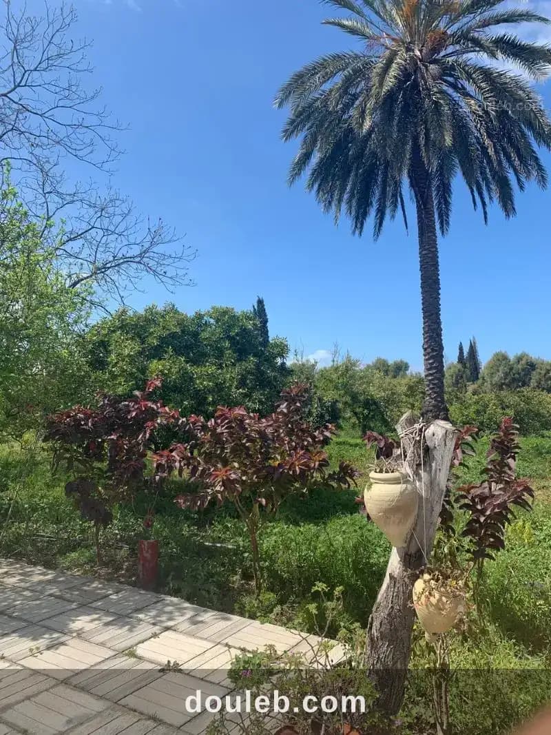 V613 maison farida menzel bouzalfa à Nabeul