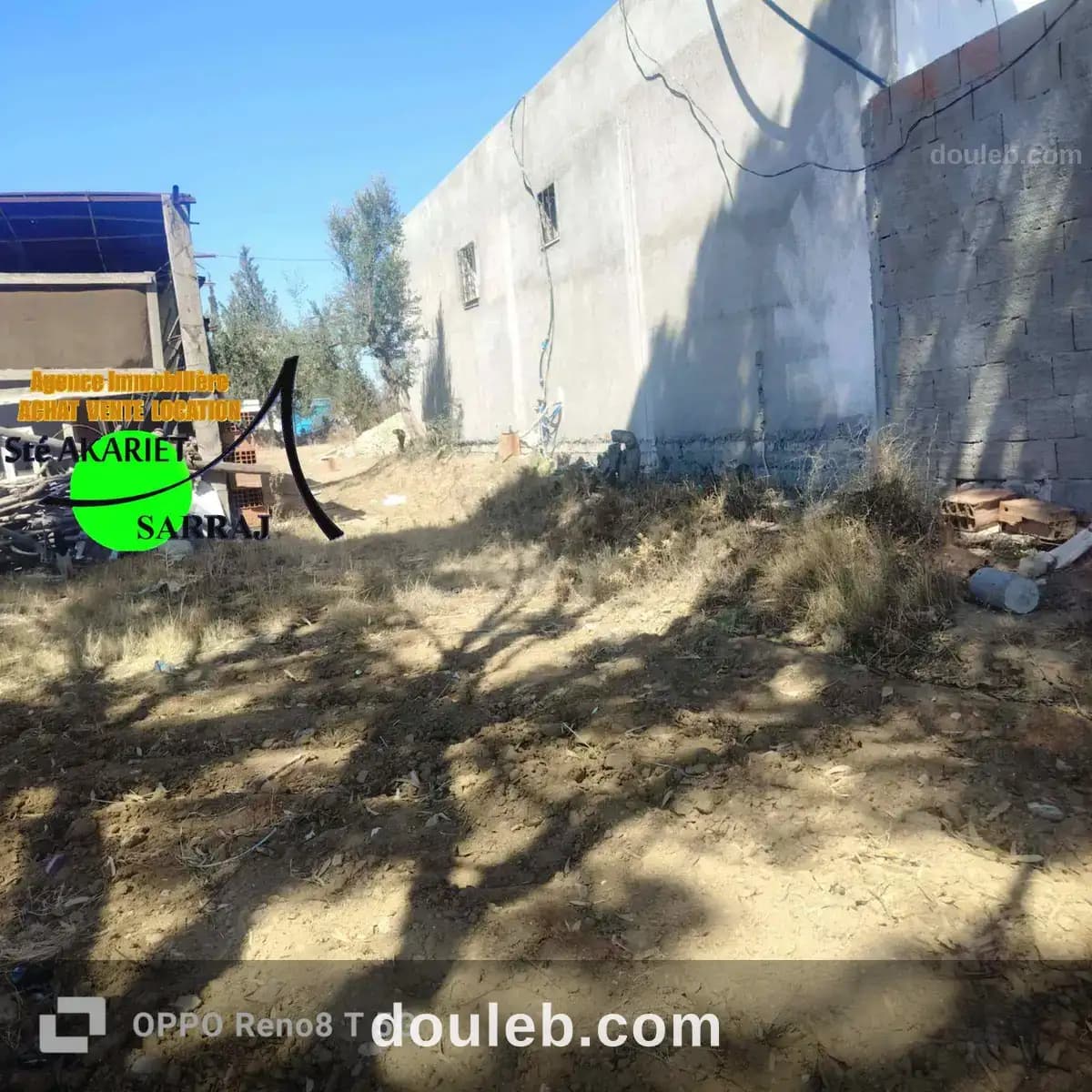 Senia 1hectare et 6000m à kalaa seghira à Sousse