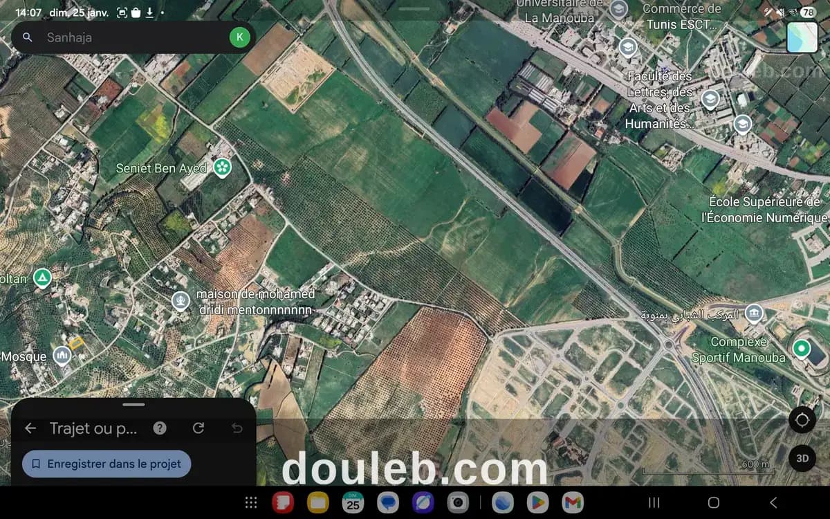 Terrain à sanhaja - Miniature 2