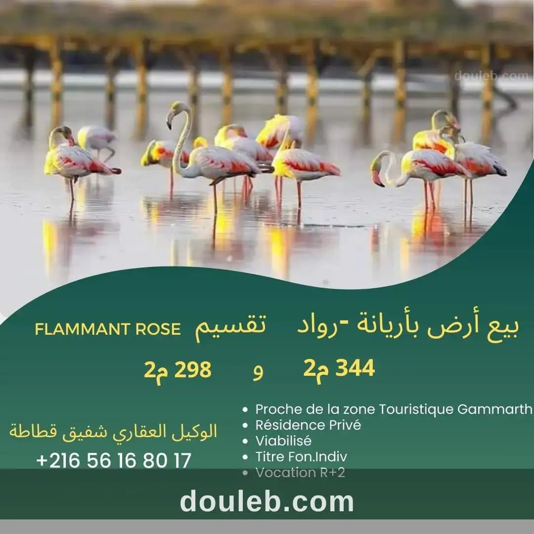 Raoued plage lot flammant rose vnt ter à Ariana