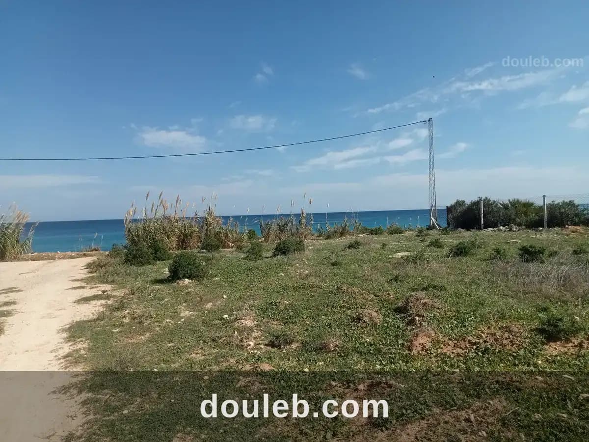 Des terrains pieds dans l'eau à Nabeul