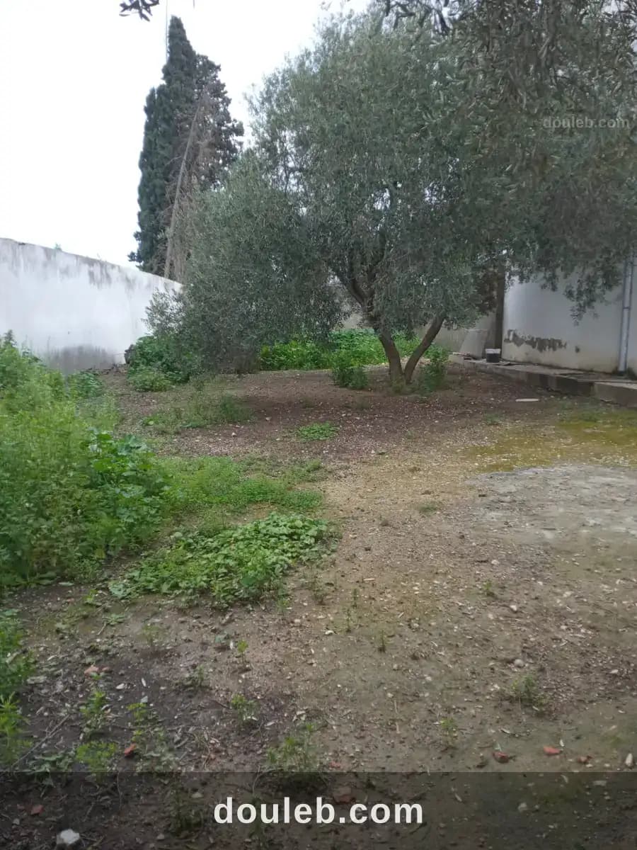 La soukra vnt ter viabilisé à Ariana