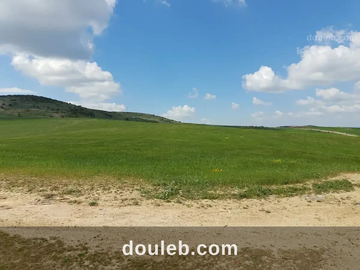 Terrain agricole à Manouba