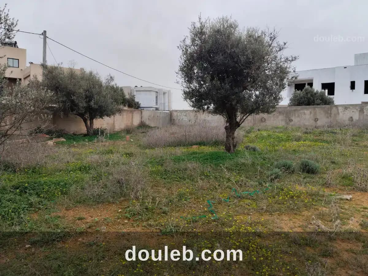 Borj youssef vnt ter 1000m2 à Ariana