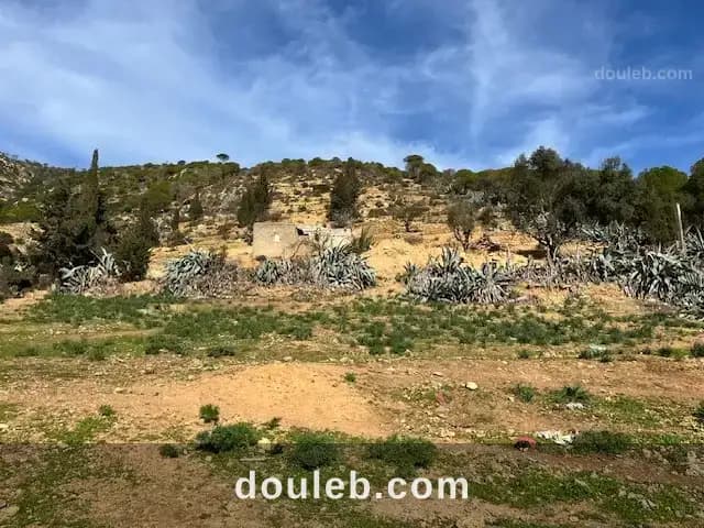 85dt m2 vieux port de ghar el meleh à Bizerte