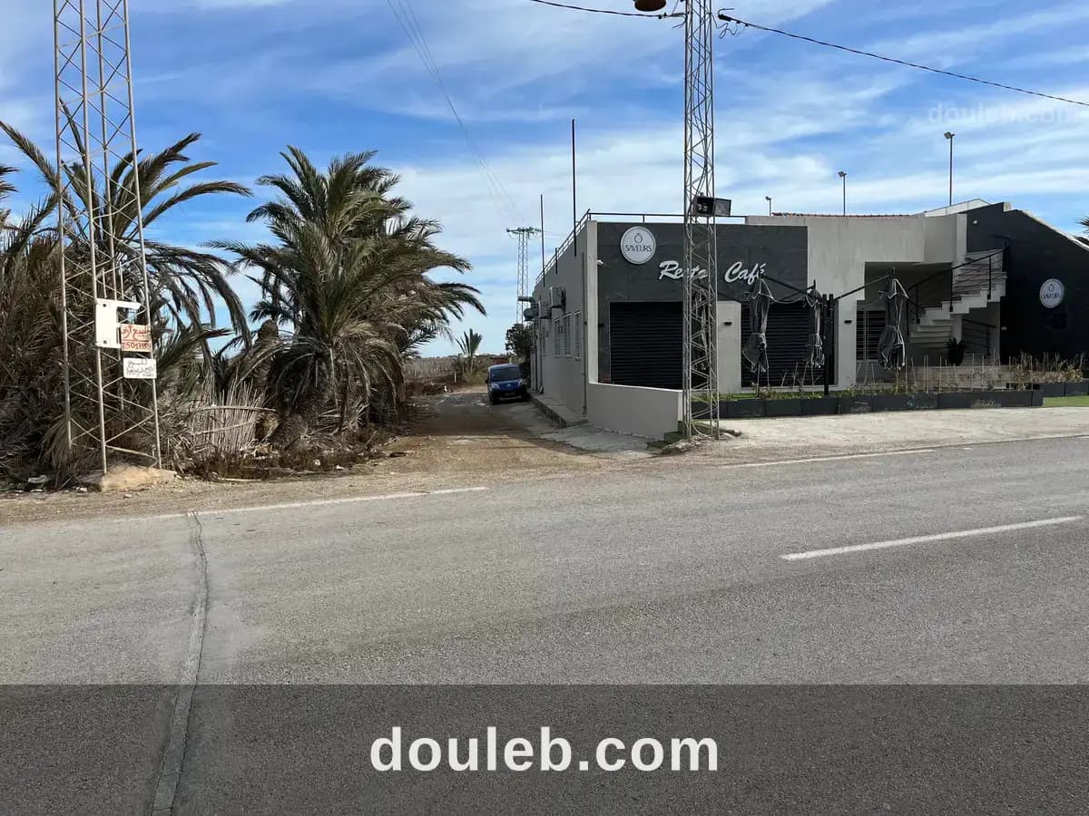 Dans la lagune de ghar el meleh à Bizerte