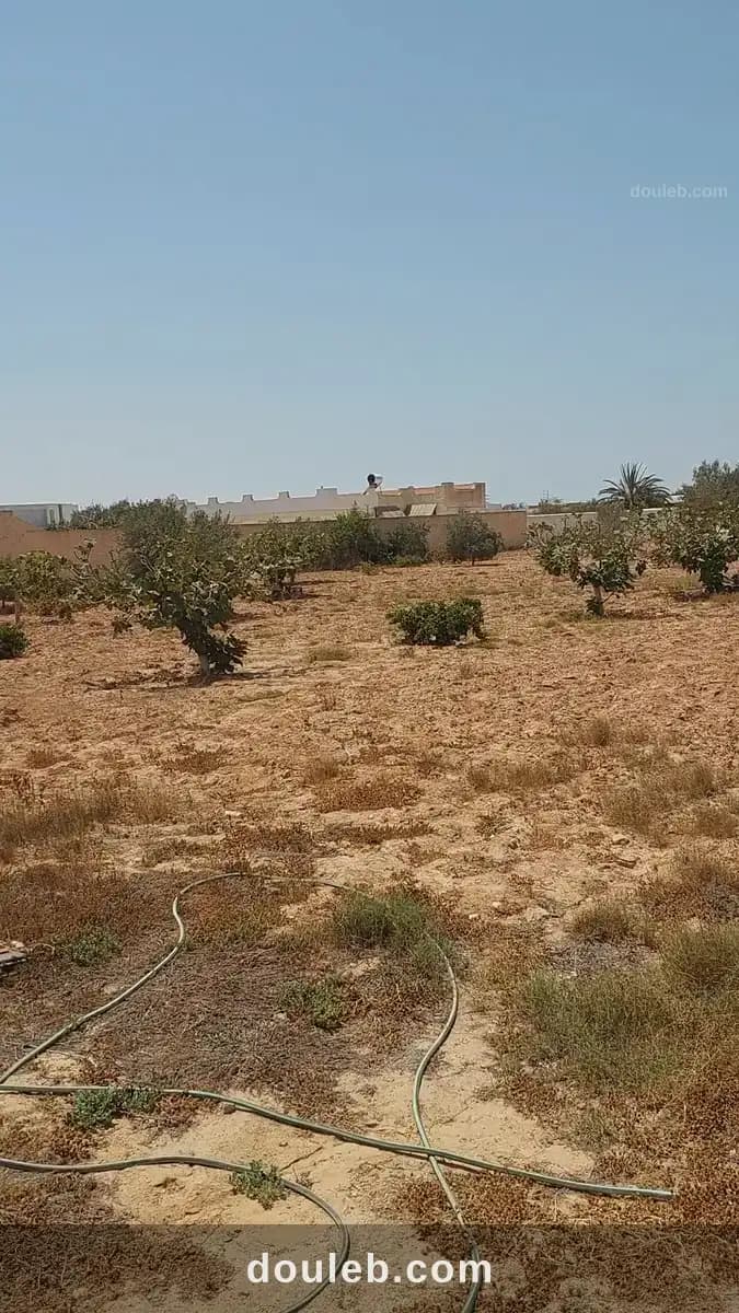 Terrain cloturé de 3900 m2 avec permit de batir à Médenine