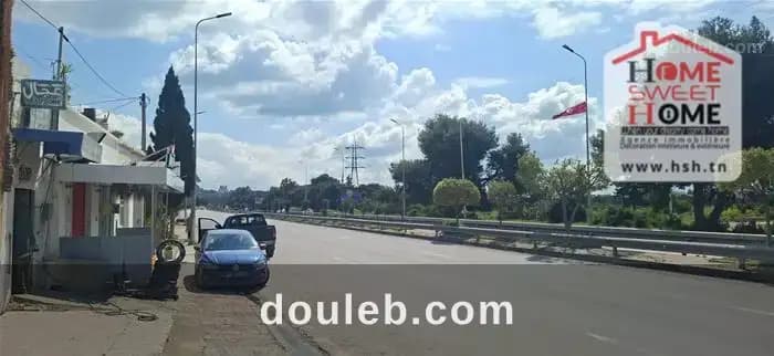 Pas de porte monstera à ain zaghouen nord à Tunis