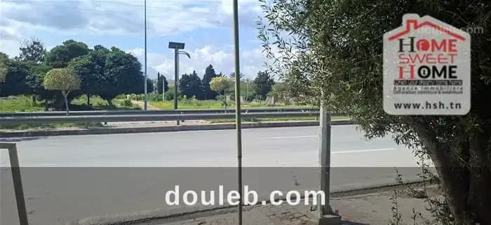 Pas de porte monstera à ain zaghouen nord - Miniature 2