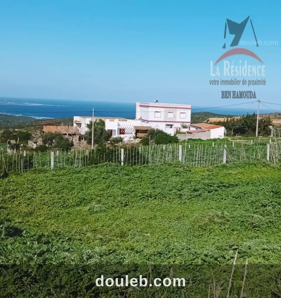 Terrain vue mer à nadhour bizerte à Bizerte