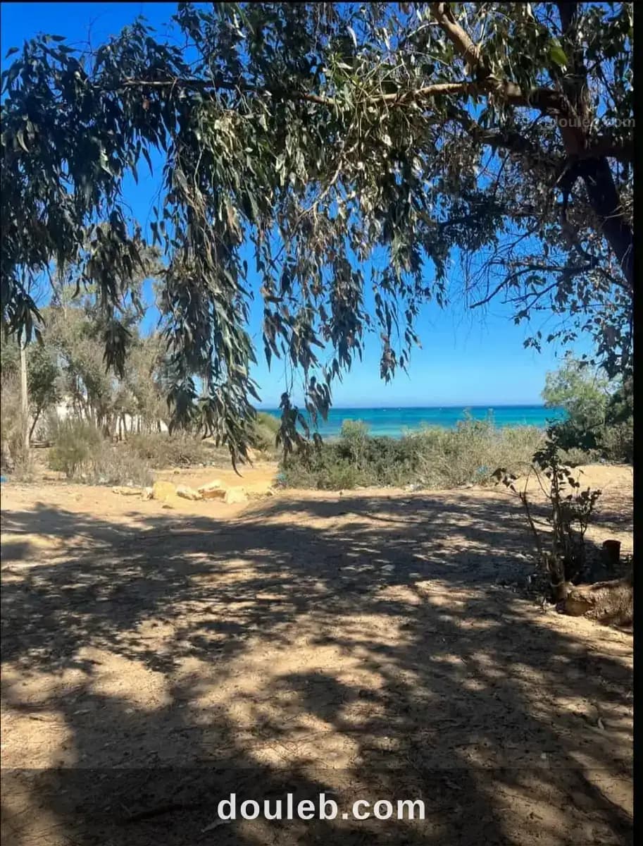 Un terrain de 1 ha cote kelibia à Nabeul