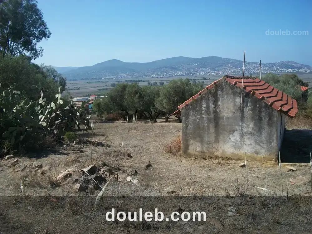 Terrain à tabarka à Jendouba