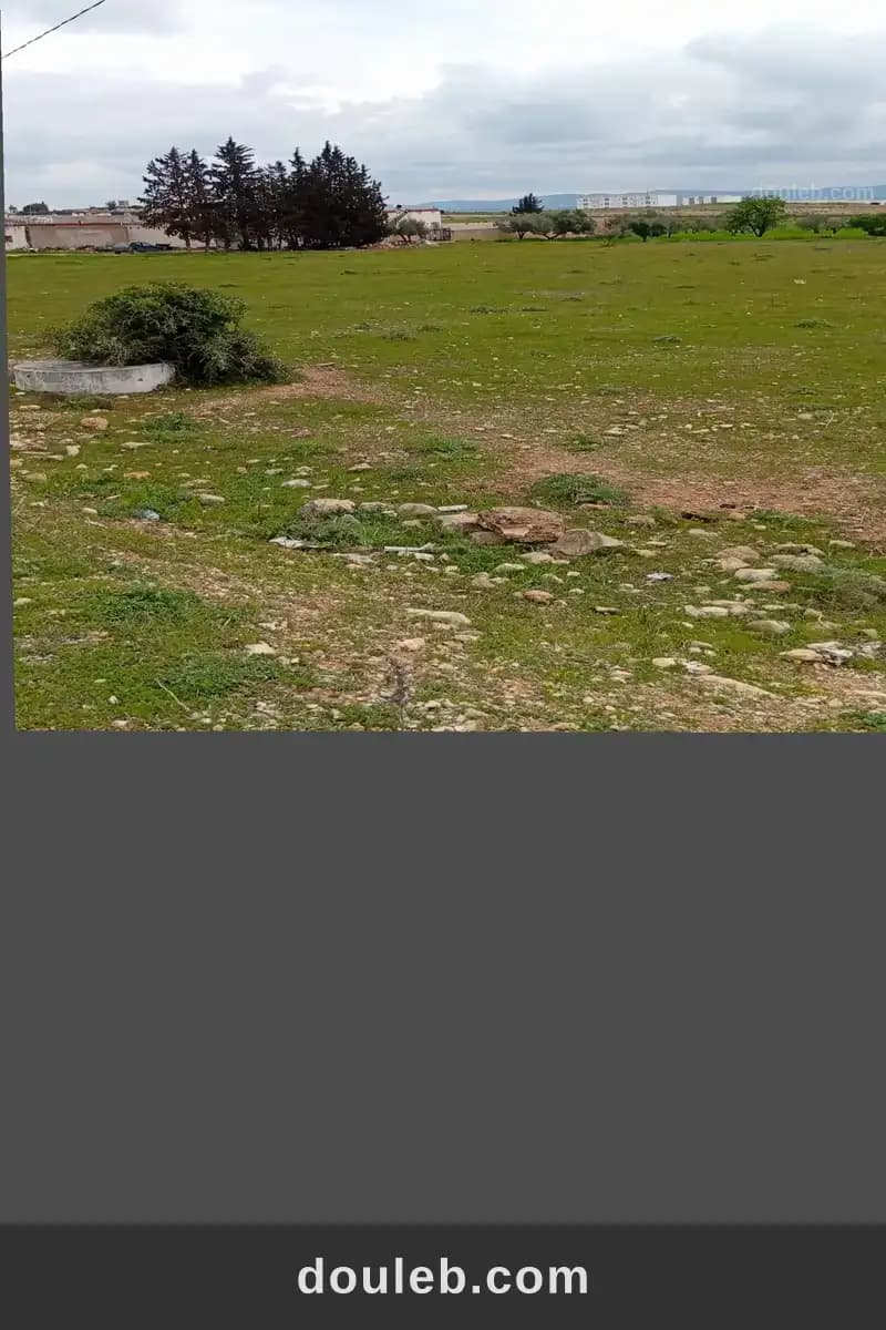 Aradh llbi3 sidi abdallah tarik hamam malage - Miniature 2