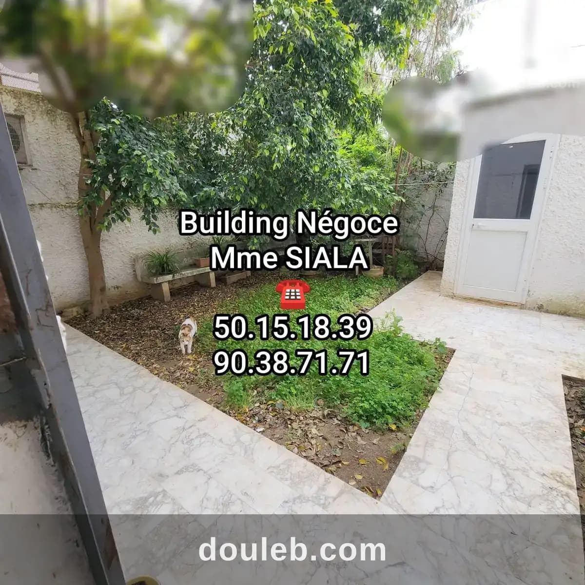 Menzah 6 triplex s4 avec jardin et sondage à Ariana