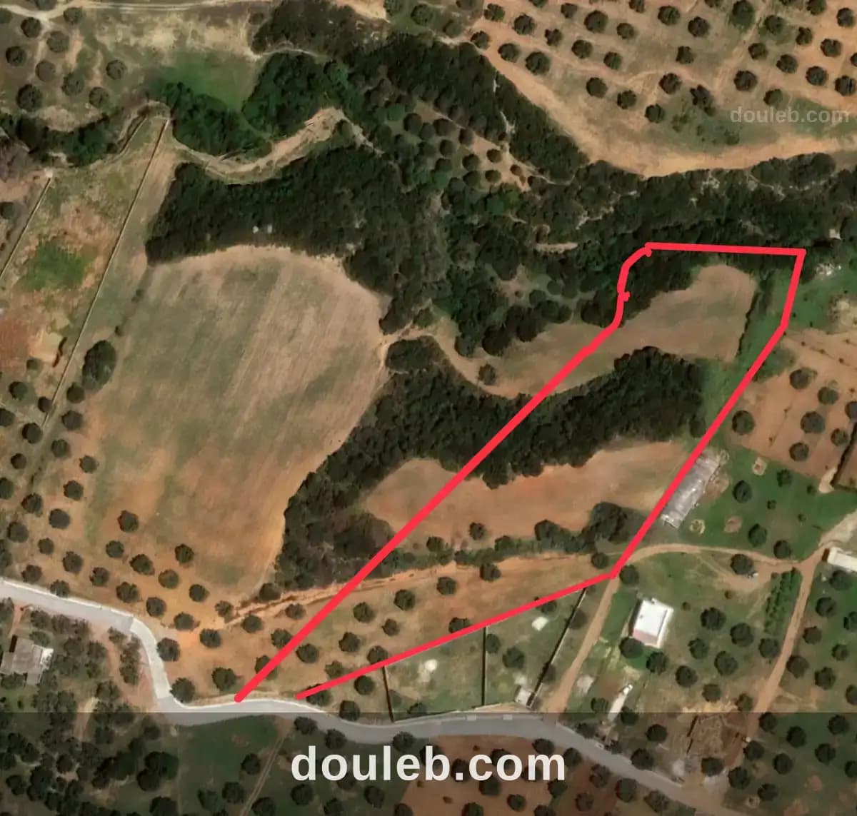 Terrain agricole pour investissement maison d hote à Nabeul