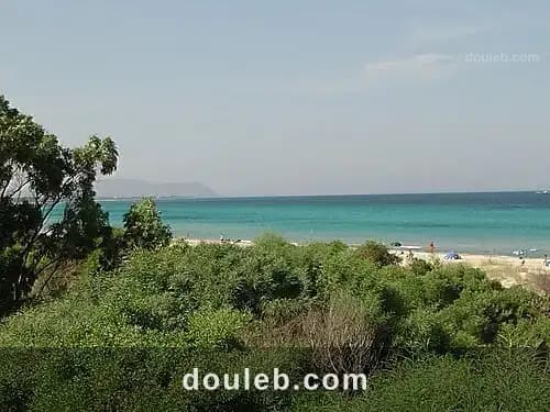 1 ha entre kelibia et dar allouche à Nabeul