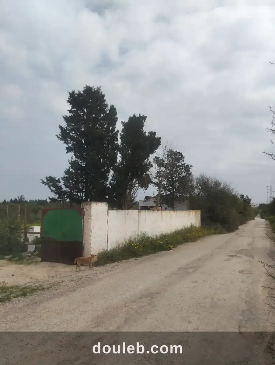 Terrain agricole à Nabeul
