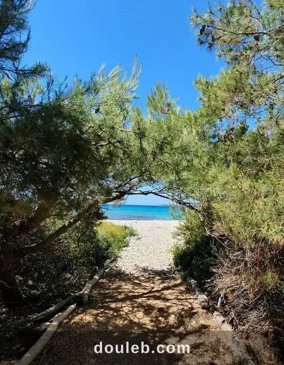 Un terrain a ne pas rater mgnifique à Nabeul