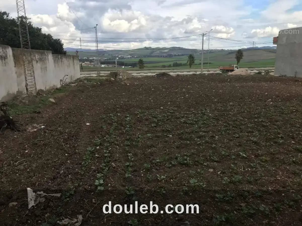 Terrain opportunité à béja à Béja