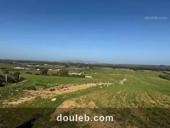 Lotissement azmour à Nabeul