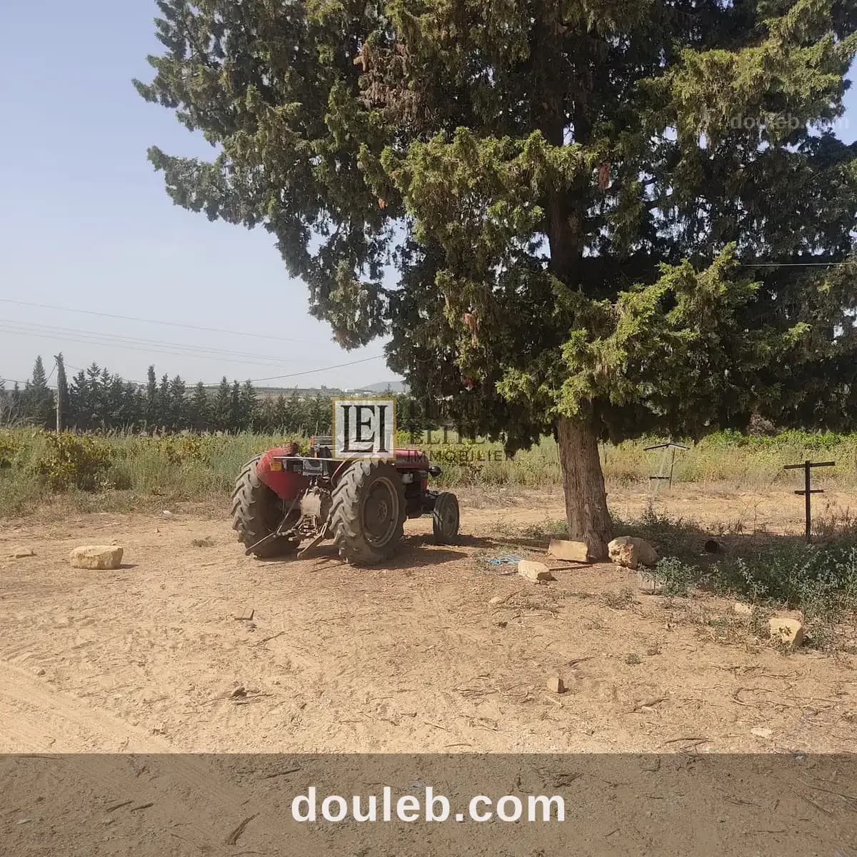 Une ferme de 12 hect à Nabeul