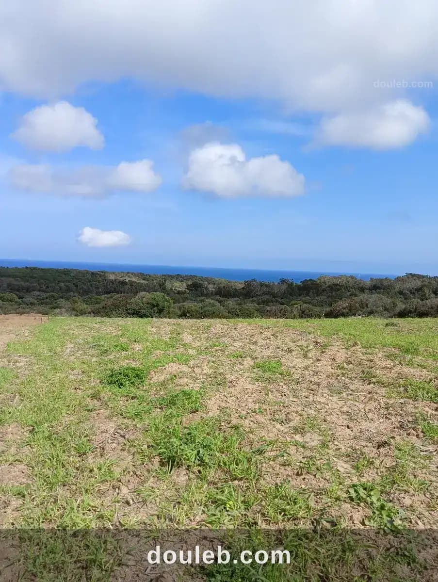 Terrain vue dégagée à Nabeul