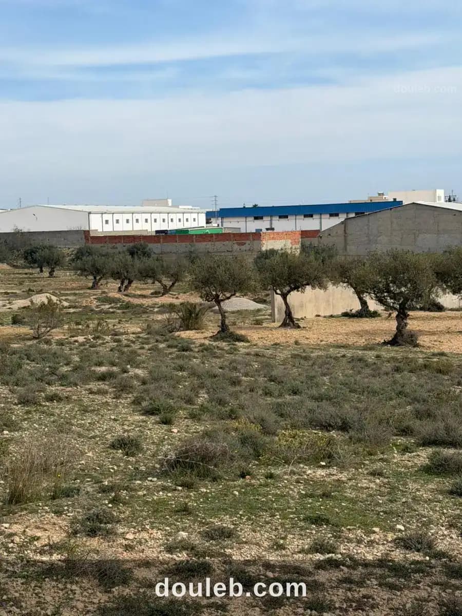 Terrain constructible sousse 30000 m - Miniature 5
