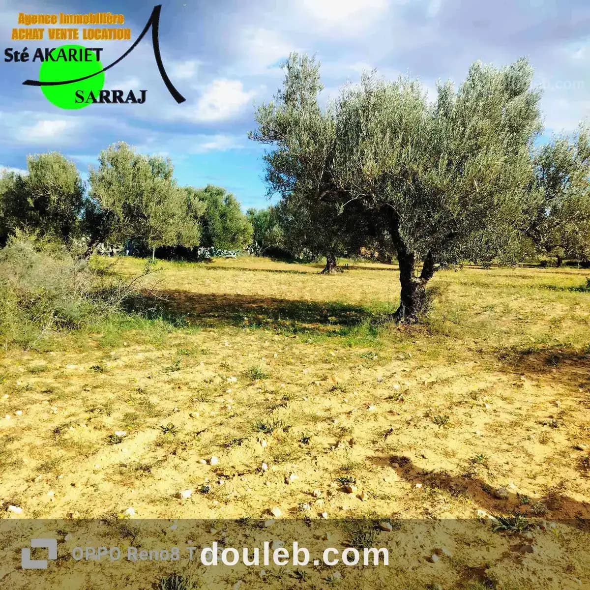 Terrain agricole 1hectare et 8000m à sidi bouali à Sousse