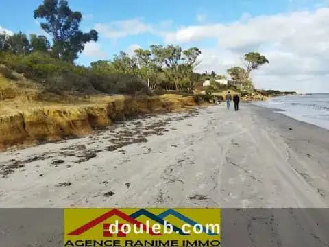 Terrain de 5000m2 la plage ezzahera kelibia - Miniature 2