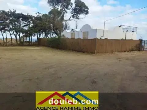 Terrain de 5000m2 la plage ezzahera kelibia - Miniature 3