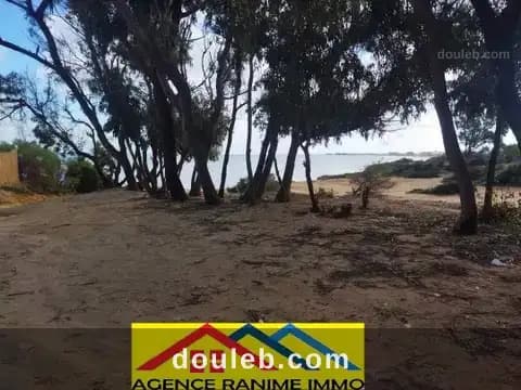 Terrain de 5000m2 la plage ezzahera kelibia - Miniature 4