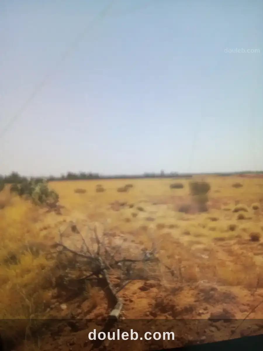 Terrain agricole à Gafsa
