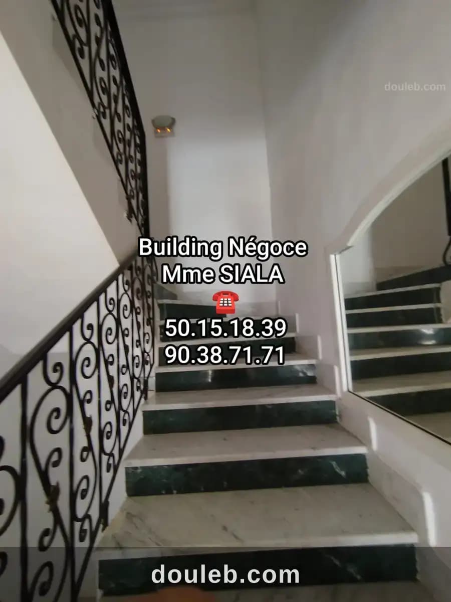 L'aouina grande villa habitation ou bureautique à Tunis