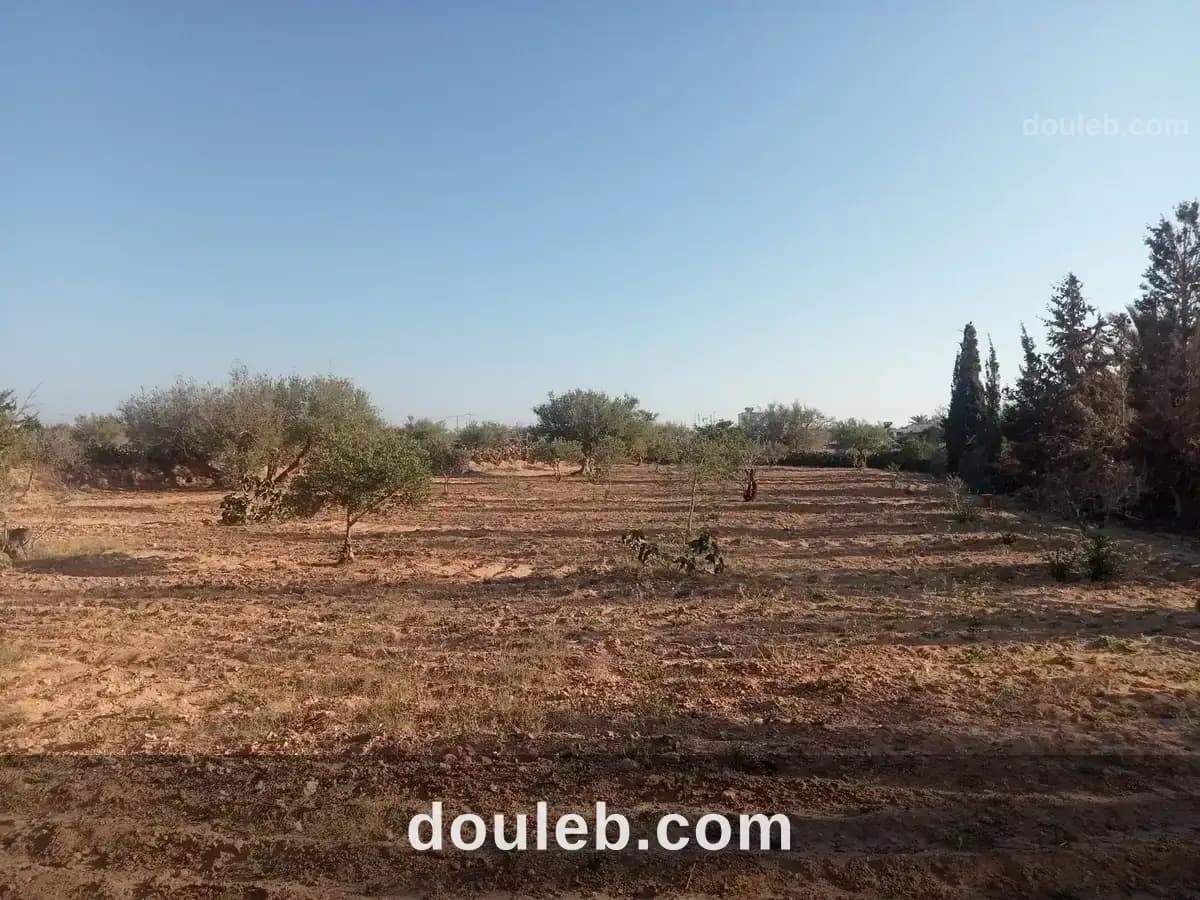 Terrain potentiel à 3 km de houmt souk à Médenine