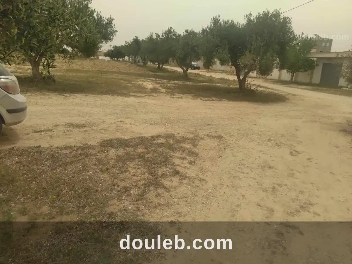Lot de terrain 230 m2 à soliman à Nabeul