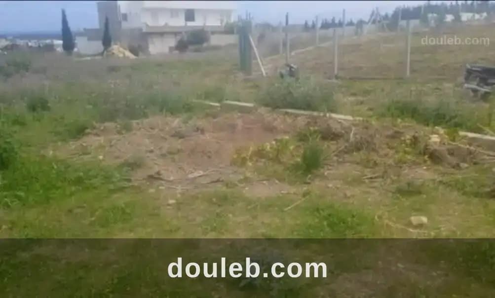 Terrain situé dans la délégation de ras jebel à Bizerte