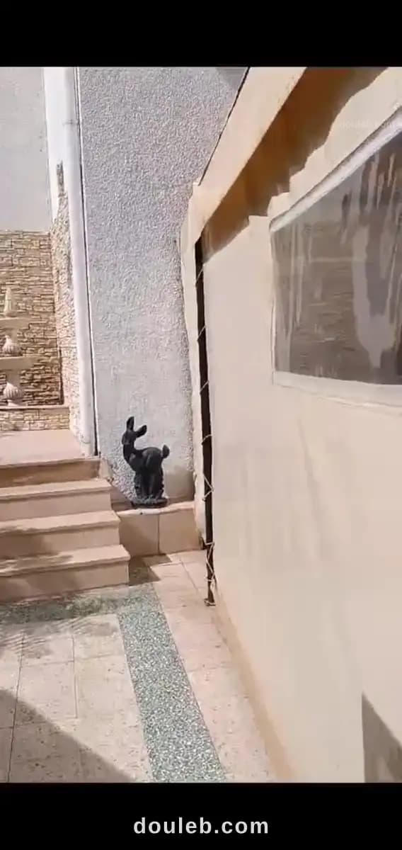 S2 meublée a manar 2 - Miniature 3
