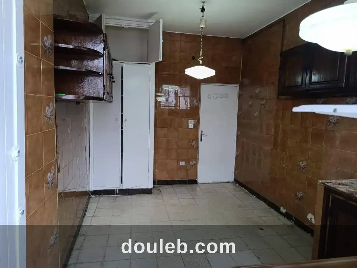 Duplex ibn sina - Miniature 3