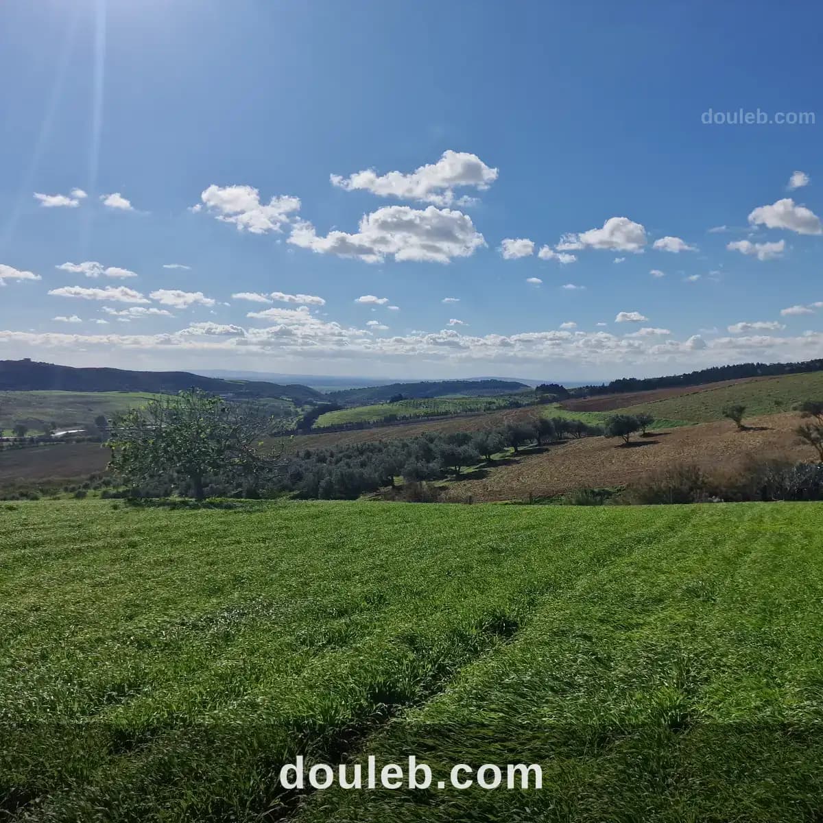 1 hectares 500 m2 avec permis de construire à Bizerte