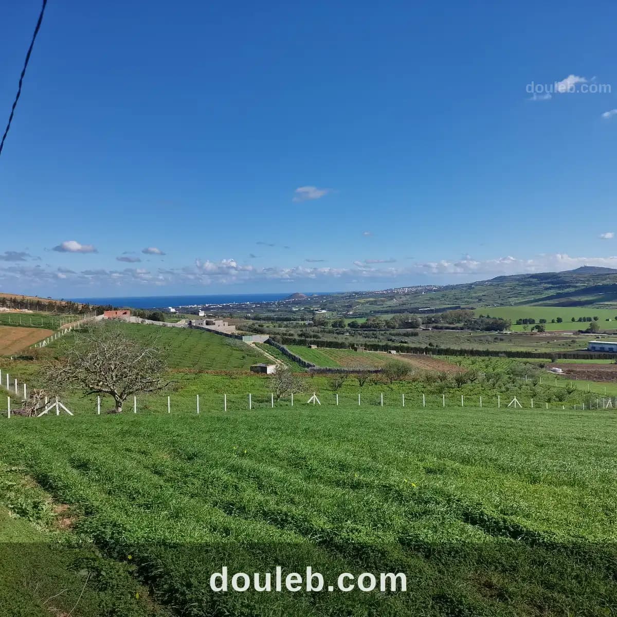 Terrain agricole 2650 m2 avec vue mer à Bizerte