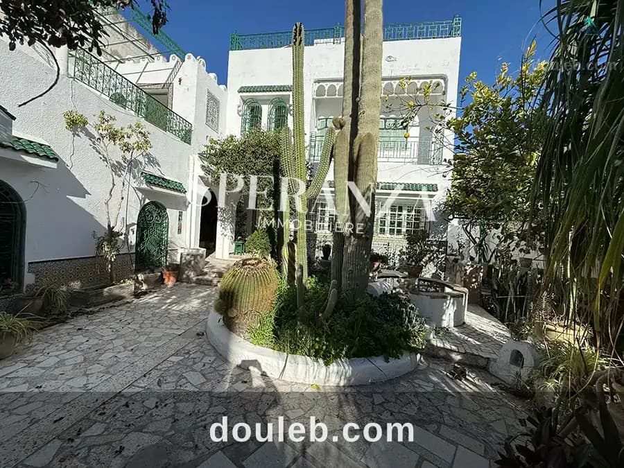 Villa el anbeer - Miniature 5